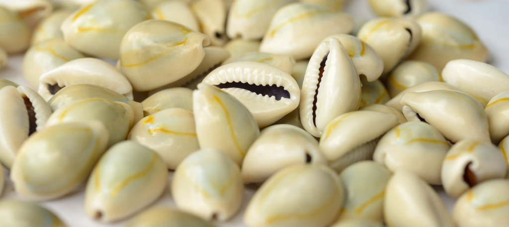 HISTORY OF COWRY SHELLS AND CULTURAL SIGNIFICANCES