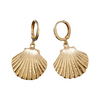 Boucles d'Oreilles Coquilles Saint-Jacques Or